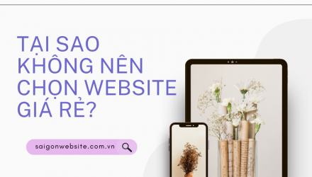 Tại sao không nên chọn website giá rẻ?